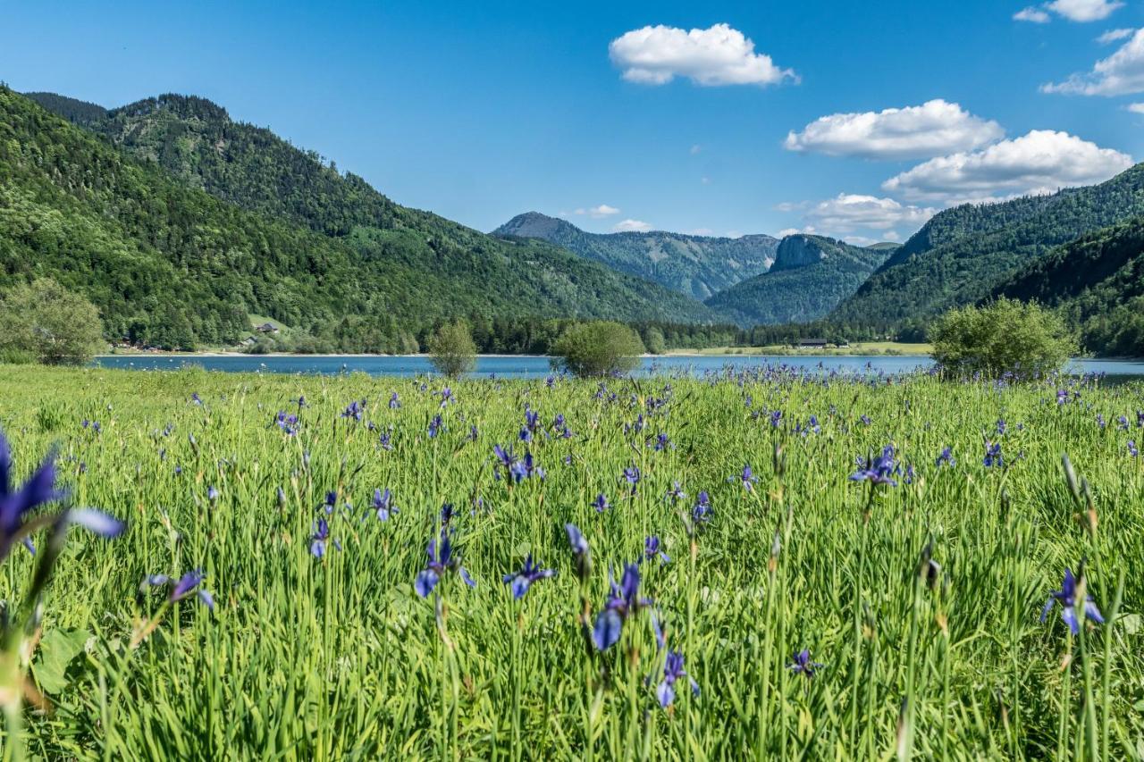 Hotel Fischerwirt Natur Waldspa Faistenau Luaran gambar